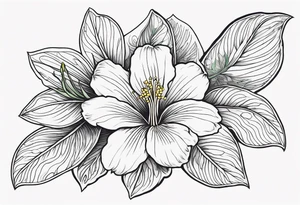 An outline of a rio dipladenia flower with a green and purple background tattoo idea