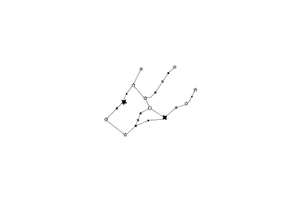 Castor and pollux star 
constellation tattoo idea