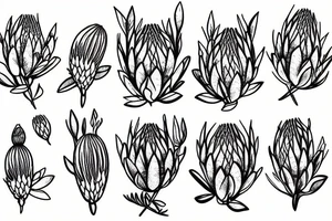 protea tattoo idea