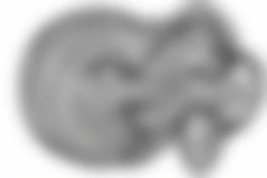 infinity enveloping itself symbolizing freedom and interconnectedness tattoo idea