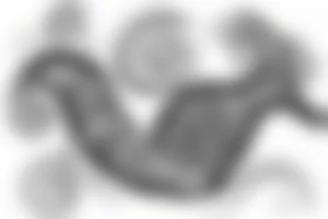 a snail eating salad tattoo idea