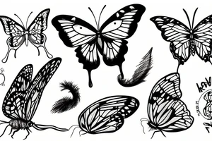 feral rat eating a butterfly tattoo idea