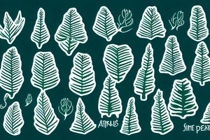 Single araucaria green tattoo idea