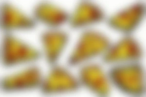 Pizza slice tattoo idea