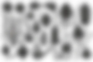Orquidea  Urology Thunder Podcast Continent audio web tattoo idea