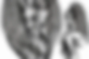 angel and demon with inscription tattoo idea