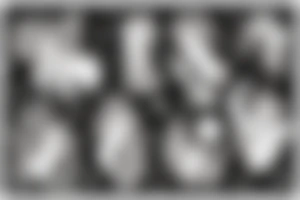 Greek myth   Narcissus  looking into water and seeing Leo constellation tattoo idea