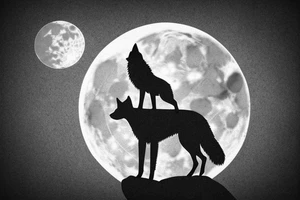 A lone survivor and his wolf on top of a rock under a full moon tattoo idea