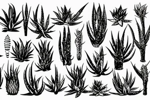 An aloe vera plant tattoo idea