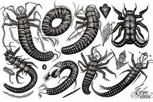 Scolopendra tattoo idea