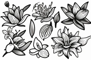 A olive branch and a lily flower tattoo idea