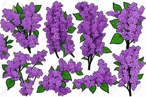 Purple lilacs tattoo idea