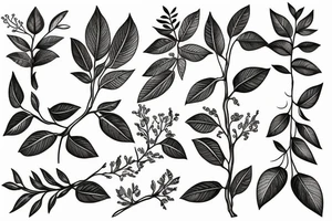 Laurel tree tattoo idea