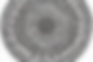 A detailed, intricate mandala design tattoo idea
