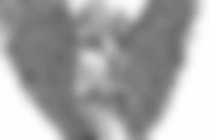 the perfect Eris Management brand logo that will make us rich 
wings
goddess tattoo idea