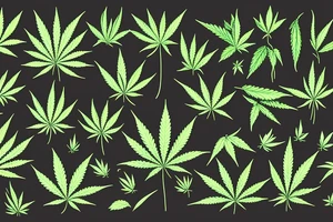marijuana leaf with a zipper tattoo idea
