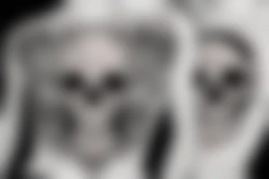 Skull pirate tattoo idea