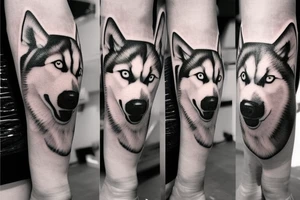 Leg sleeve, husky reflection and mini portraits in motion of same husky. Super realistic tattoo idea