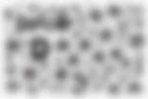 quotation "non ducor, duco" in type writer font surrounded by stars, a mouse and lilies tattoo idea