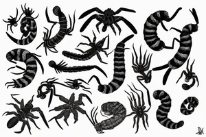 Scolopendra tattoo idea