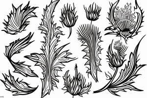 A line drawing of half a flame lily and half thistle split in the middle tattoo idea