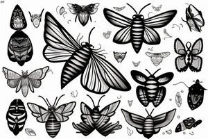 Moth tattoo idea