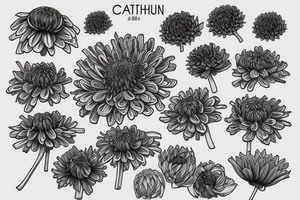 Dried chrysanthemum, with stem transition into coordinates tattoo idea