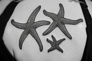 Sea Themed starfish tattoos Starfish tattoo for my sister starfish tattoos Calypso starfish tattoos Star tattoo idea