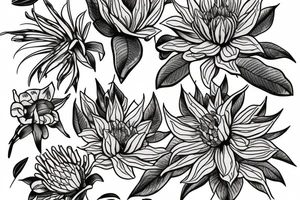 make a tattoo of a waratah flower tattoo idea