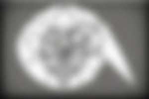 minimalistic hourglass with symbol of life inside tattoo idea