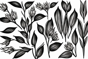 Milkweed tattoo idea