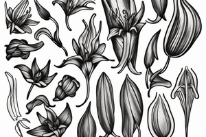lilium bosniacum tattoo idea