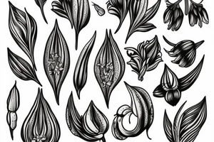 lilium bosniacum tattoo idea