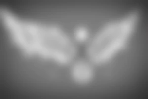 clean alien meditating with wings 
simple symmetric tattoo idea