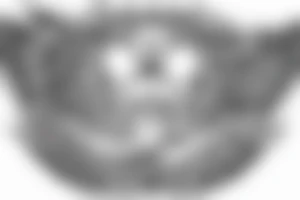 clean alien meditating with wings 
simple symmetric tattoo idea