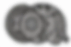 Bear Mandala tattoo idea