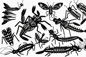 batterfly  centipede mantis tattoo idea