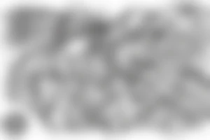 sketch of a rhizome structure made up of lines tattoo idea