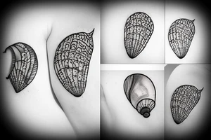 A sea shell with a pearl tattoo idea
