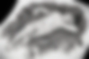 man asleep under tree tattoo idea