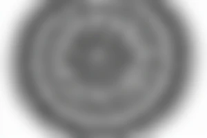 lotus mandala with line and letters A & S tattoo idea