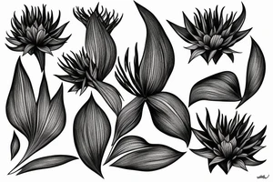 Blood lily tattoo idea