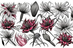 Blood lily tattoo idea
