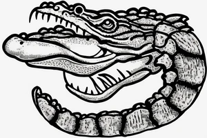 Antique Florida Gator tattoo idea