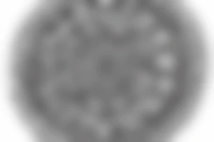 A skull surrounded by a peaked mandala wich needs to be stretched out for my whole forearm tattoo idea