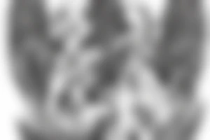 Angel with six wings surrounded by fire tattoo idea