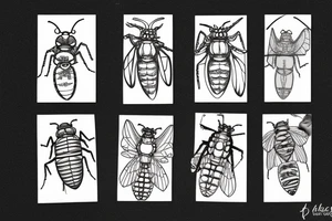 Cicada tattoo idea