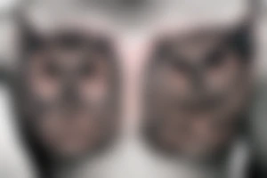 Owl on the chest tattoo idea
