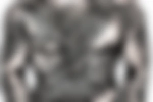 Viking chest peice tattoo idea