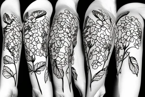 Vine of poppies, Alexandria bougainvillea, lemons and basil leaves tattoo idea